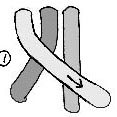 Illustration of braiding