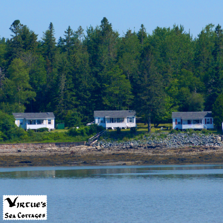 The cottages, seen across the water